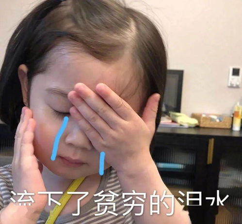 双十一卖了两万台挖掘机花钱top1是广东人,最不忘买的单品竟是
