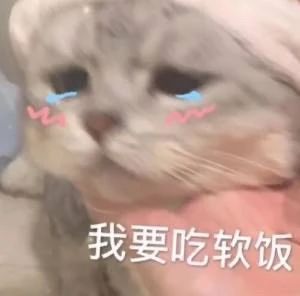 沙雕表情包我只会心疼giegie