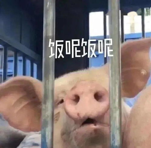 沙雕搞笑表情包i我们要以德服人