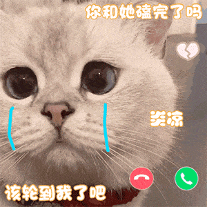 表情包合集