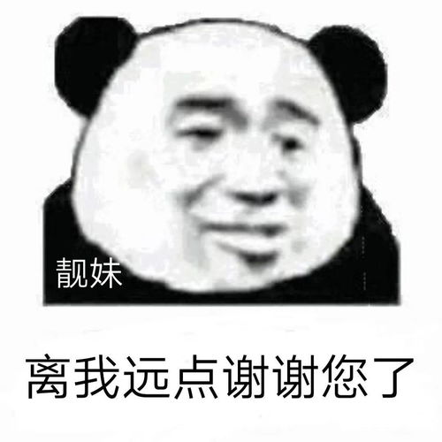 熊猫头怼人表情包