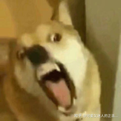 学生最好用什么脱毛方法