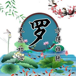 精品百家姓头像,微信头像,各短视频头像,适合你的头像