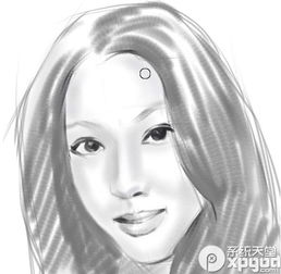 painter手绘教程素描篇