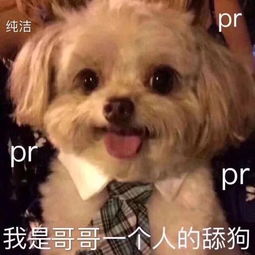 表情包就是要在网络上逼逼赖赖