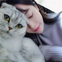 女生抱猫头像情侣微信头像图片大全
