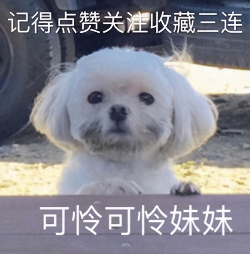 wildfieldhealth美丽芭蕾真的有用吗