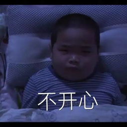 春节霸屏的小胖子表情包,你们究竟是sei
