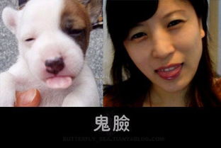 管理员模仿动物搞笑照片蹿红网络
