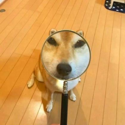搞笑表情包沙雕图片情头