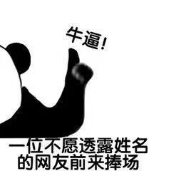 有什么便宜又好用的本子