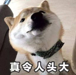 人少景美好吃好玩西昌周边游好去处,周末快去打卡