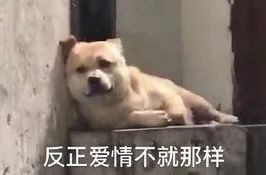 干就完了表情包搞笑搞笑