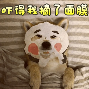 萌宠表情