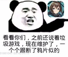 维护了