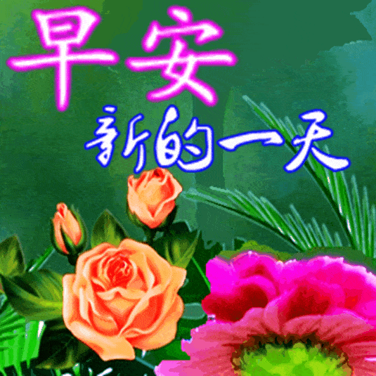 早上好表情包问候朋友,愿我的祝福,陪你度过开心的一天