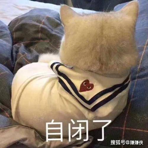 搞笑表情包图片你说不好笑我都笑一整天了