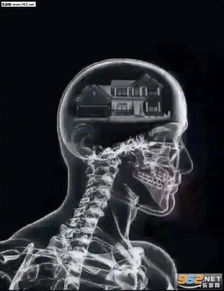 做我的狗钻戒表情包deidei讲的dei老太太表情包图片下载乐游网手机下载站