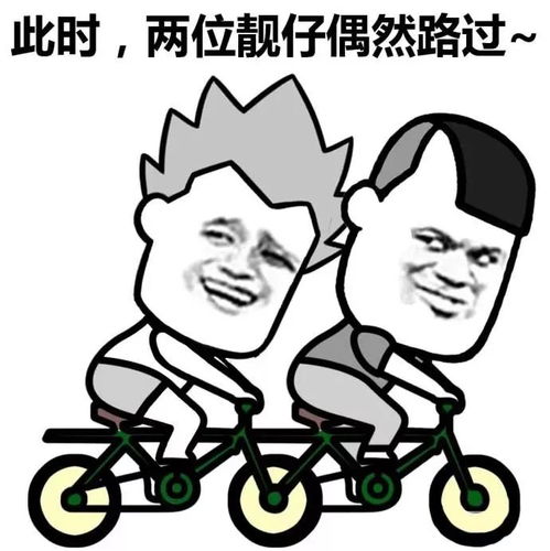 大学生寒假十大堕落表现