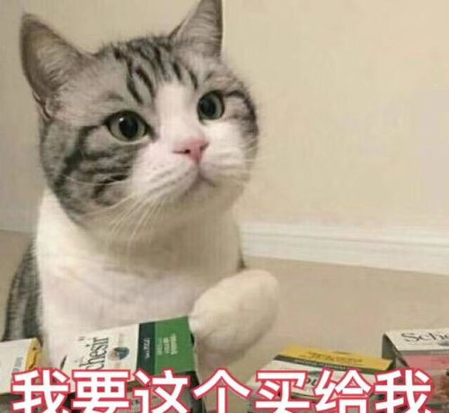 家里有猫,这些东西应该藏起来,因为后果我不知道咋形容