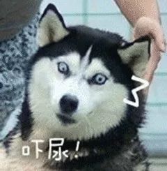 叮咚,零下9,局部大雪,就在2天后你的冬季安全取暖攻略已发送
