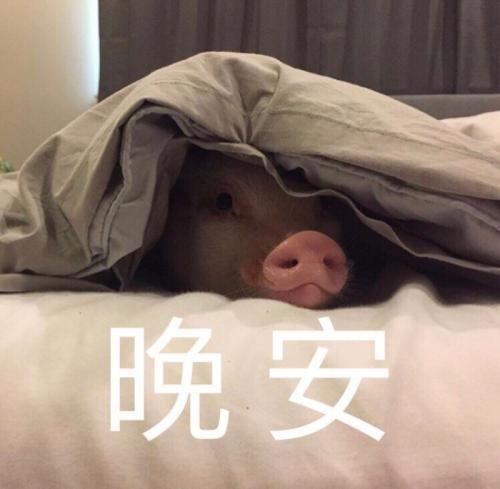 搞笑的晚安表情包合集