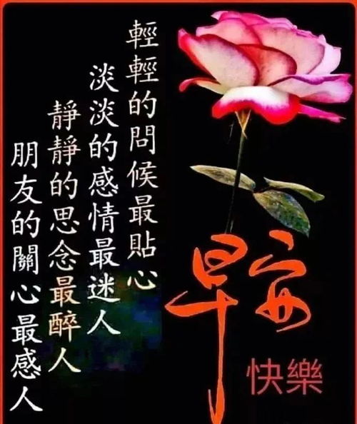 周三大家早上好图片祝福语早晨好表情问候语