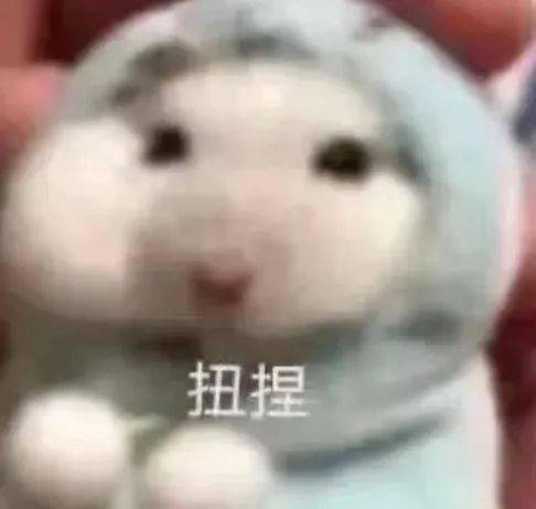 你们专业不会天天开会吧