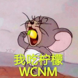 最近很火的沙雕柠檬表情包