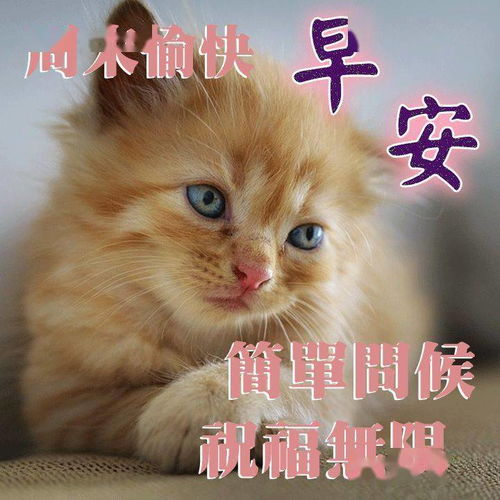朋友圈早上好的祝福语录美句,2021早安问候祝福动画表情包图片
