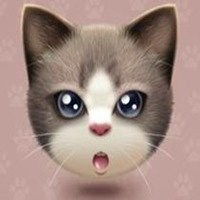 猫趴在人脸上卡通头像微信头像图片大全