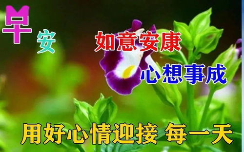 8张早上好动态美图鲜花带字,夏日早晨好幸福暖心的问候表情图片鲜花带字