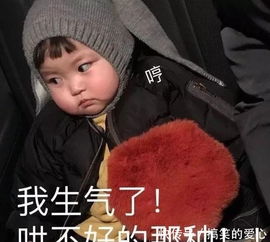 搞笑表情包我生气了,哄不好的那种
