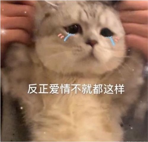 肖战五月七号开启直播,粉丝期待