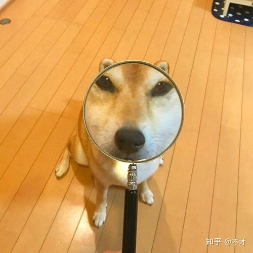 一梦江湖伽蓝门派怎么加点和镶宝石