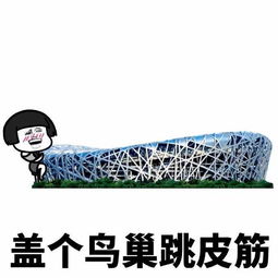 等我有钱了,盖个水立方洗澡,盖个鸟巢跳皮筋搞笑表情包