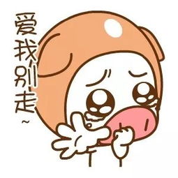 9个名额虚位以待2019年高校毕业生三支一扶计划启动
