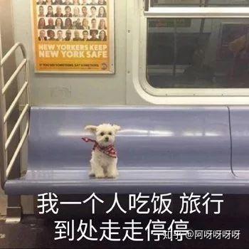 狗吵架表情包