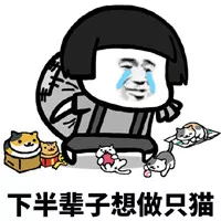 下辈子想做只猫表情包很萌很有趣的套路表情包