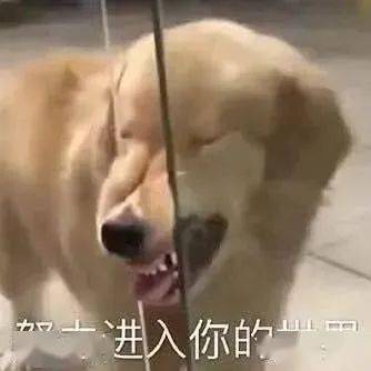 你的表情包该更新啦这50个沙雕又上头的表情包,拿去用
