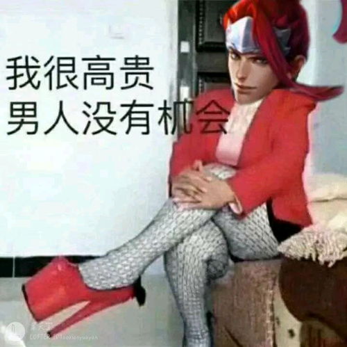 王者荣耀搞笑表情包第九弹