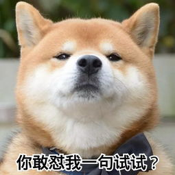 你最好不要把我逼疯了