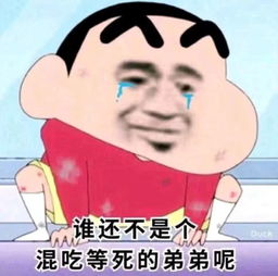 表情包接下来你是不是要凶我了