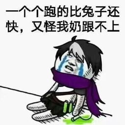 王者荣耀背锅英雄表情包完整版电脑客户端版雷达下载