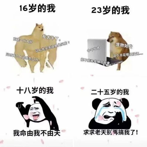 不敢出去玩了,怕哪天确诊了把我7天吃49顿的事扒出来,等下全国人民骂我饭桶