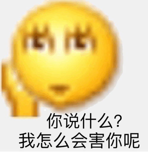 我的收藏夹