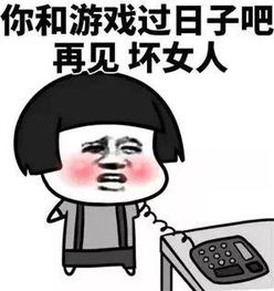 我和游戏过日子了表情包下载我和游戏过日子了表情包v1.0最新版起点软件园