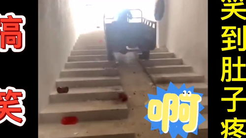 每日看一篇,保持好心情,人类沙雕搞笑合集