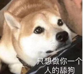 表情包就是要在网络上逼逼赖赖
