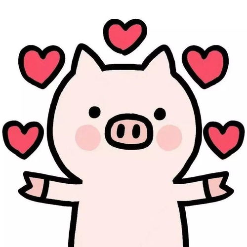 元旦晚会我们不见不散